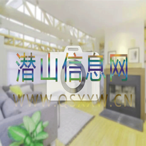 无图片